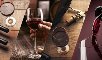 6 Steps to taste your wine